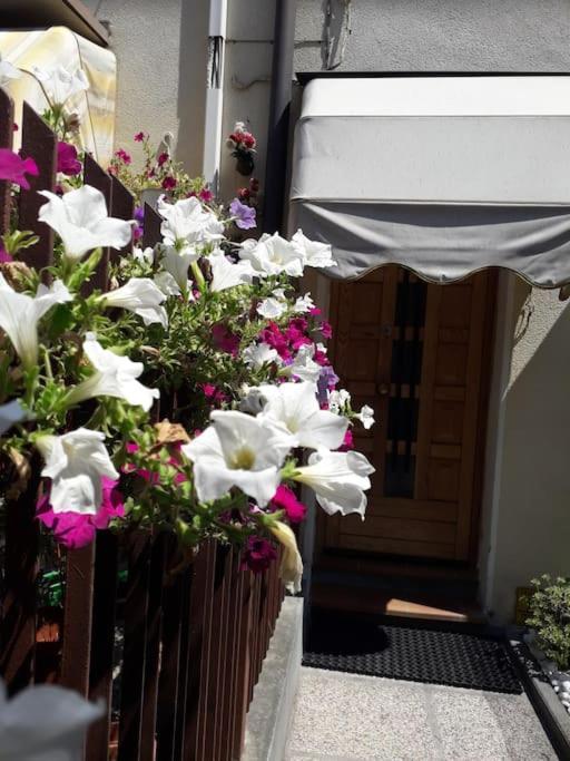 Lovely House Claudia-Perfetto Per Venezia Местре Екстериор снимка